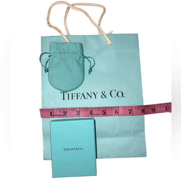Tiffany & Co. Signature Blue Set of Pouch, Box, and Shopping Bag - Picture 4 of 5